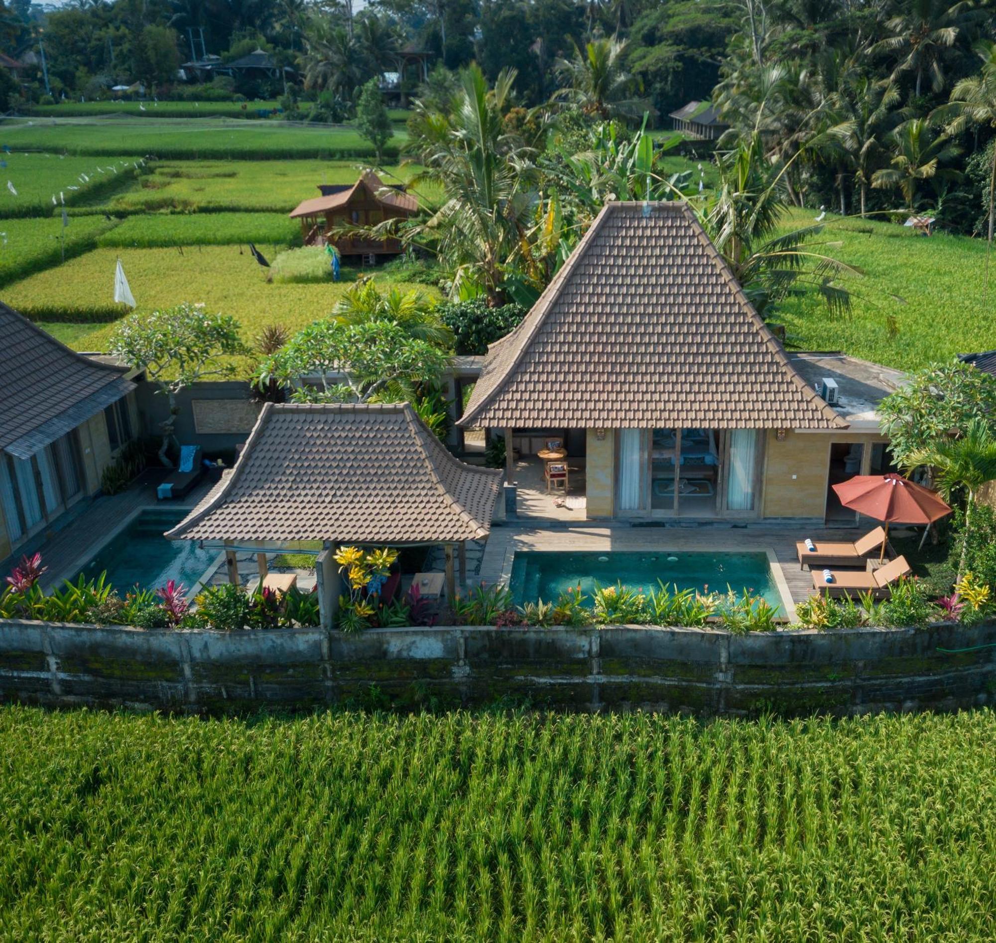 Happy Honeymoon Private Villa Ubud  Exterior photo